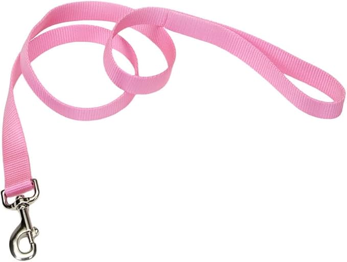 Coastal Pet Single-Ply Dog Leash - Sturdy Pet Leash - Comfortable & Stylish - Resists Fraying - Vibrant & Fade-Resistant Color - Pink Bright, 1" x 6'