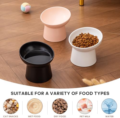 Ceramic Raised Cat Bowls - Elevated Tilted Cat Food and Water Bowls, Anti Vomiting and Protect Pets' Spines Pet Feeding Dish for Cats, Dishwasher Microwave Safe (1 x Bowl - White) - Image 5