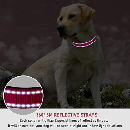 Reflective Dog Collar, Puppy Collar with Buckle Adjustable, Red XS - Image 4