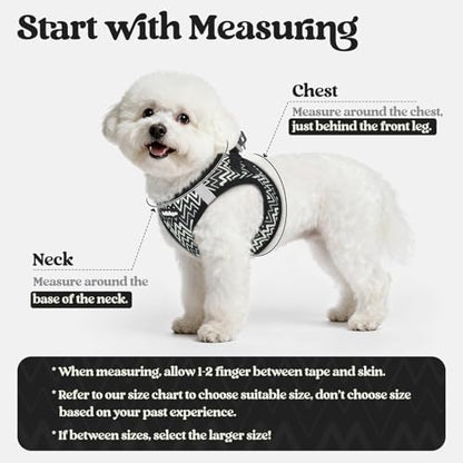 rabbitgoo Dog Harness Medium Sized and Leash Set, Step-in Puppy Pet Vest - Image 2