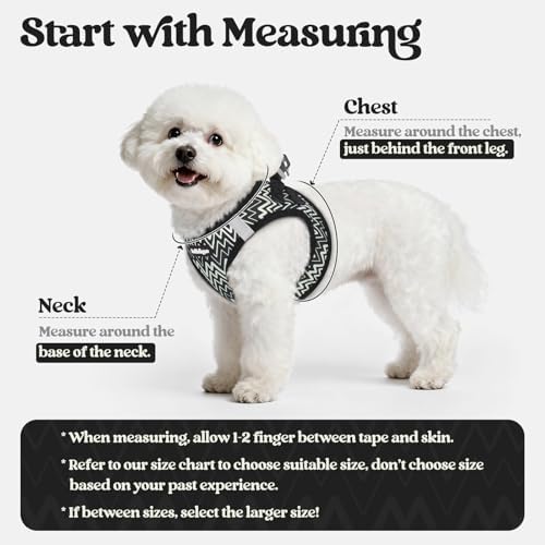 rabbitgoo Dog Harness Small Sized and Leash Set, Step-in Puppy Pet Vest - Image 2