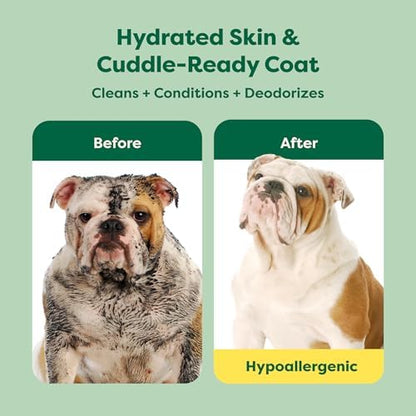Earth Rated Soothing Hypoallergenic Dog Shampoo & Conditioner, 16 oz - Image 2