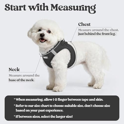 rabbitgoo Dog Harness Medium Sized and Leash Set, Step-in Puppy Pet Vest - Image 2