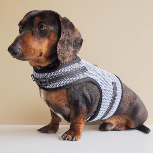 Mini Dachshund Harness – No Armpit Rub, Escape Proof, Reflective, No Pull Vest-Style Dachshunds Harness,Breathable Mesh Dog Harness (Silver-White, XS,Fit Puppy&Rabbit Dachshund) - Image 7