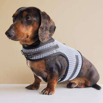 Mini Dachshund Harness – No Armpit Rub, Escape Proof, Reflective, No Pull Vest-Style Dachshunds Harness,Breathable Mesh Dog Harness (Silver-White, XS,Fit Puppy&Rabbit Dachshund) - Image 7