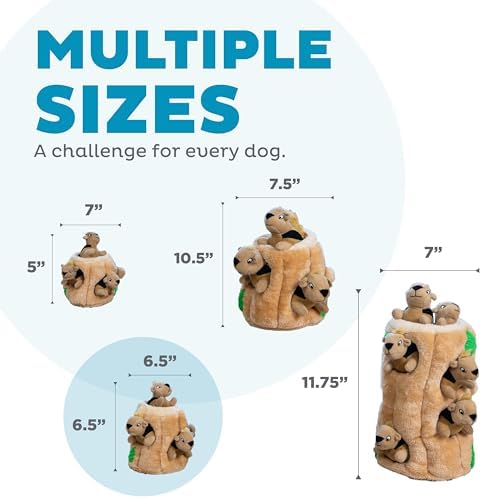 Outward Hound Hide-A-Squirrel Plush Squeaky Dog Toy, Medium, 6.5" x 6.5" - Image 3