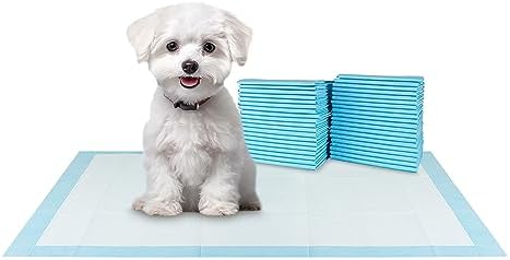 BV Small Puppy Pads 100 Count 17"x24" - Leak-Proof & Absorbent Pee Pads For Dogs with 6-Layer Design, Rapid Dry Sheet & Built-In Attractant - Dog Pad with Odor Control, Perfect for Puppies&Senior Dogs by BV