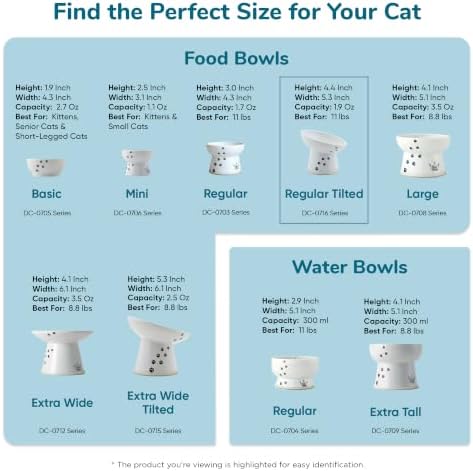 Necoichi Ceramic Elevated Cat Food Bowl, 15° Tilted (Fuji, Regular Tilted) - Image 4