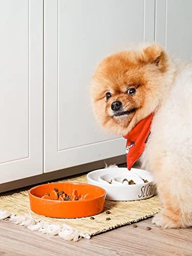 LE TAUCI Ceramic Slow Feeder Dog Bowls Small Breed, 0.6 Cups Dog Food Dish for Fast Eaters, Puzzle Bowl for Small Dogs and Cats,Sun Orange - Image 2