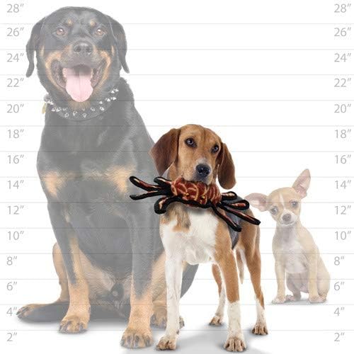TUFFY - World's Tuffest Soft Dog Toy - Desert - Multiple Layers. Made Durable, Strong & Tough. Interactive Play (Tug, Toss & Fetch). Machine Washable & Floats (Spider, Large 2 Pack)