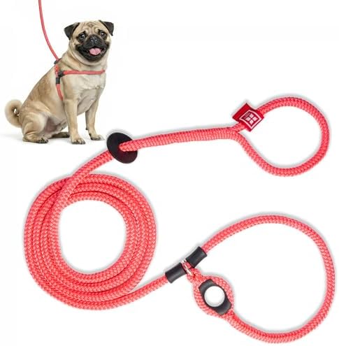 Harness Lead No Pull Dog Harness and Leash Set, Anti Pull Dog Harness for All Breeds and Sizes, One-Piece Cushioned Rope Design Safely Prevents Escaping and Pulling (Small/Medium, Pink) by HarnessLead