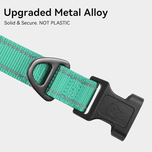 Joytale Reflective Dog Collar, Adjustable Neoprene Padded, Teal XL - Image 3