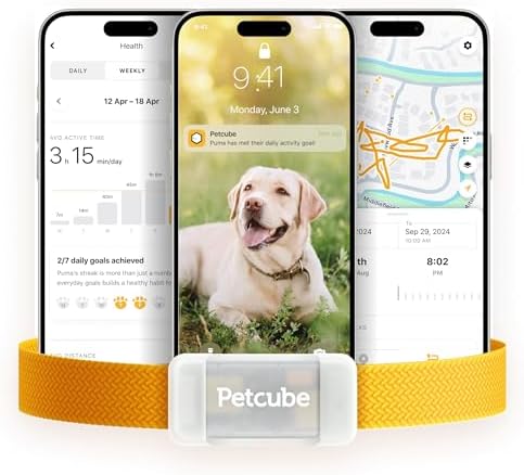 Petcube GPS Tracker for Dogs – Real-Time GPS Tracking & Escape Alerts by Petcube