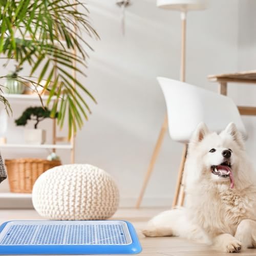 Mifoci 2 Pcs Dog Potty Tray, Mesh Puppy Training Pad, 19.7 x 14.2 Inch, Blue - Image 5