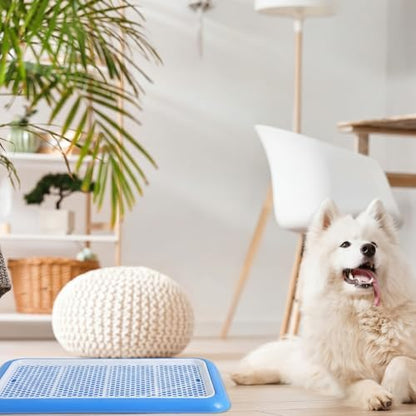 Mifoci 2 Pcs Dog Potty Tray, Mesh Puppy Training Pad, 25.6 x 18.9 Inch, Blue - Image 5