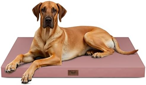 Jumbo Waterproof Orthopedic Dog Bed for Extra Large Dogs by TailStories