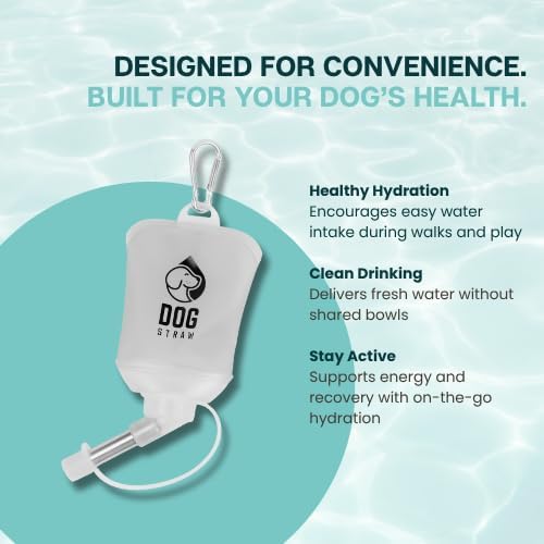 – The Ultimate Portable Water Solution for Dogs, 5oz Gray