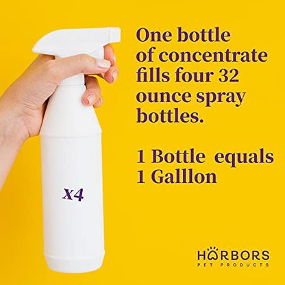 Harbor's Orange Deodorizer and Pet Stench Eliminator. Removes Dog & Cat Urine. Cleans Rugs, Furniture, and Mattresses with Pleasant Natural Aroma. Bottle of Concentrate Makes 1 Gal of Spray. - Image 4