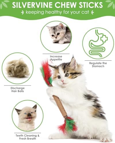 TINDTOP Silvervine Chew Sticks for Cats, 12 Pack Natural Catnip Chew Toys - Image 2