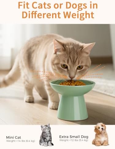 LoeJan Elevated Cat Food and Water Bowls Set, Extra Wide and Raised Ceramic Bowls, Anti-Vomit Whisker-Free Pressure Cat Feeder for Kittens to Adult Cats and Small Dogs - Image 6