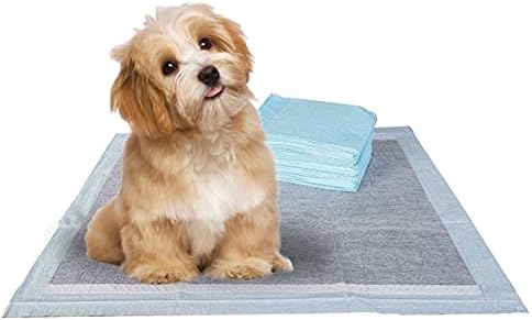 BV Charcoal Puppy Pads 100 Count 22"x22" - Leak-Proof Pee Pads for Dogs with 6-Layer Absorbent Design & Built-in Attractant - Dog Pad with Charcoal for Odor Control, Perfect for Puppies & Senior Dogs by BV