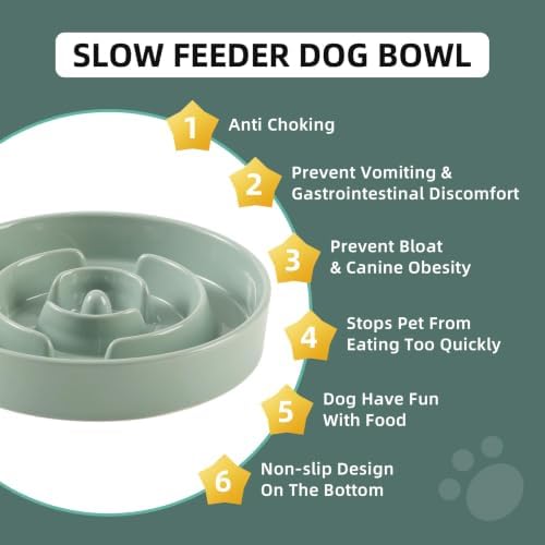 Havniva Ceramic Slow Feeder Dog Bowls, 8.3 in Slow Feeder for Medium Breed - Image 5