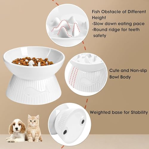 Raised Cat Slow Feeder, Ceramic Slow Feeder Cat Bowl, Upgraded Ridges to Prevent Vomiting and Indigestion, No Spill High Edge for Dry/Wet Food, Heavy and Stable, Easy to Clean Pet Bowls - Image 6