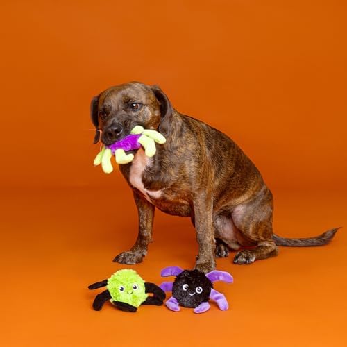 Fringe Studio Pet Toy, Webbed in Mischief Plush Dog Toy 3 PCS Set, PetShop Collection (662190) - Image 3