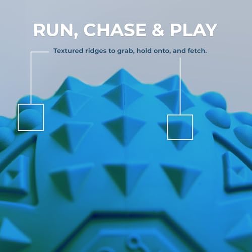 Best Pet Supplies Squeaky Dog Toys with Soft Durable Fabric for Small, Medium and Large Pets Interactive Toy for Indoor Play, Supports Active Biting and Play - Blue, Large - Image 3