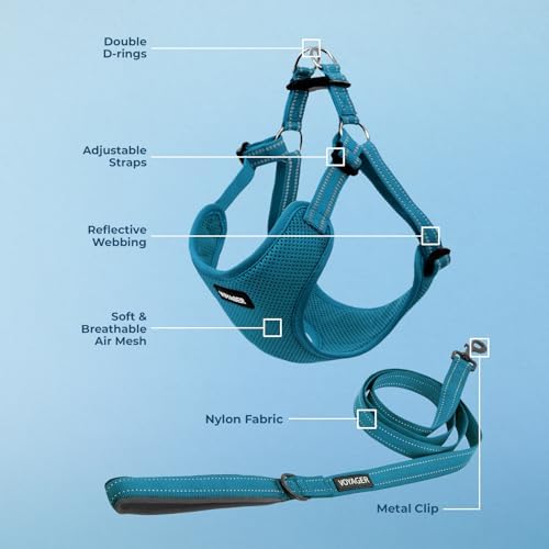 Best Pet Supplies Voyager Adjustable Step-in Flex Breathable Mesh Dog Harness for Small Medium Large Dogs Leash Set (Turquoise), XS - Image 3