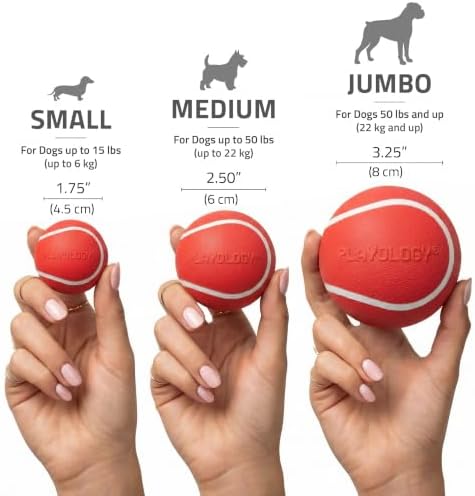 Playology Squeaky Chew Ball Dog Toy - Jumbo, Beef Scent - Image 5