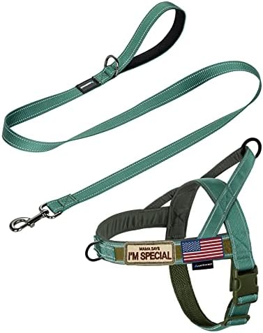 Annchwool No Pull Dog Harness with Padded Handle+5 Ft Leash,Reflective Strip Escape Proof and Quick Fit to Adjust Dog Harness,Easy for Training Walking for Small & Medium and Large Dogs(Green-Set,XL) by Annchwool
