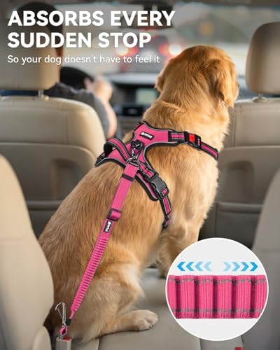 Joytale 3-in-1 Bungee Dog Seat Belt for Car, Medium and Large Dogs, Hotpink - Image 3