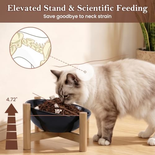 15° Slanted Rim Ceramic Cat Bowl, Anti-Spill for Small Cats,Black - Image 3