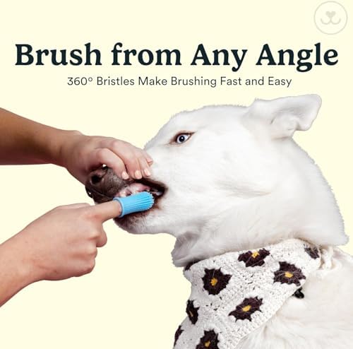 Jasper Dog Toothbrush, 360° Finger Toothbrush for Dogs & Cats, Clear 2-Pack - Image 3