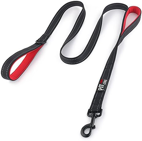 Plutus Pet Double Handle Dog Leash, 5 FT Long, for Medium Large Dogs by PLUTUSPET