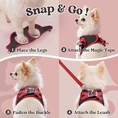 rabbitgoo Dog Harness Small Sized and Leash Set, Step in Soft Vest - Image 2
