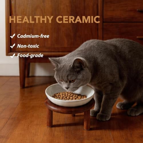 Havniva Elevated Cat Bowls, Ceramic Cat Bowl with Wood Stand, Wide Opening - Image 5