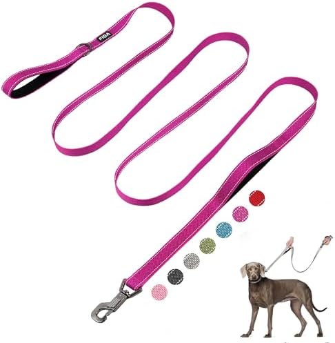 Fida 10 FT Heavy Duty Dog Leash, Dual Padded Handles for Medium Large Dogs by Fida