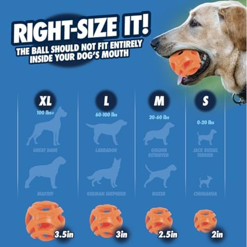 Chuckit! Air Fetch Stick Dog Toy, Small, Orange - Image 6