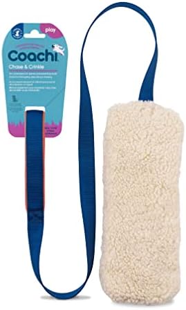 Coachi Chase & Crinkle - A Fun Enrichment Dog Toy for Chase & Play by CompanyofAnimals