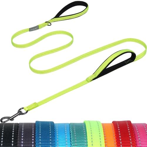 VIVAGLORY Double Handle Dog Leash Twingrip, 6ft x 1/2in, Neon Yellow by VIVAGLORY