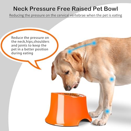 Tilted Elevated Dog Bowls Non-Slip & Non-Spill Pet Feeder with Elevated Detachable Melamine Stand, High Capacity Tilted Dog Bowl for Medium Small Size Dogs M/2 Cup Orange - Image 2
