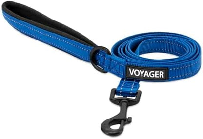 Best Pet Supplies Voyager Nylon Dog Leash - Royal Blue, Small by BestPetSuppliesLLC