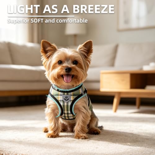 PUPTECK Dog Harness, Collar and Leash Set No Pull for Small Medium Sized - Image 3