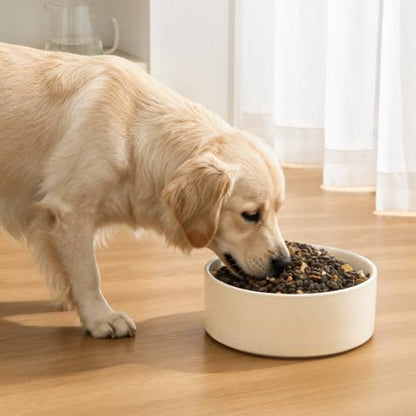 6'' Ceramic Dog Bowl - 30Oz Classic Dogs Food & Water Bowl for Small and Medium Breed Dogs, Heavy Duty Non-Slip Dog Dishes, Food Grade Pet Bowl, Dishwasher & Microwave Safe, Speckled Beige - Image 5