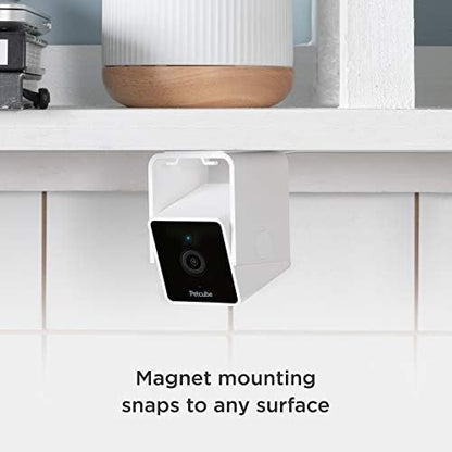 Petcube Cam and Cam 360 Bundle, 1080p HD Video, Night Vision, Two-Way Audio, Sound and Motion Alerts, Cat and Dog Monitor - Image 4
