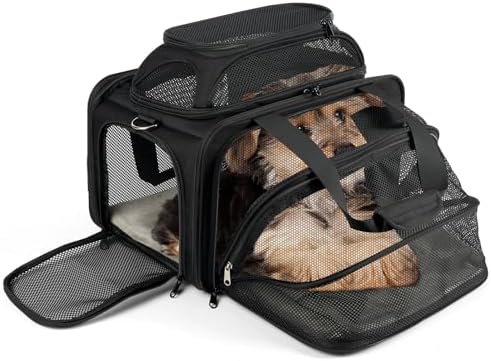 pidipiti 17x11x11 Soft-Sided pet Carrier,for 1 Small Dog or Medium cat by pidipiti