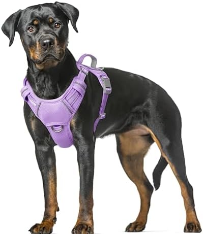 BARKBAY Dog Harness for Large Dogs No Pull Dog Vest ID Tag Pocket by BARKBAY