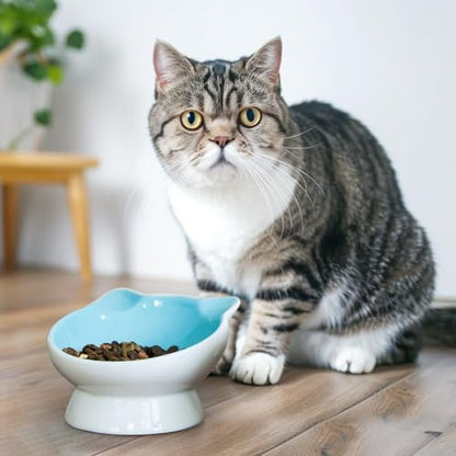 Raised Ceramic Cat Food Bowl - 15 Tilted, Spine Protection, Anti-Vomiting, Backflow Prevention for Adult Cats, Kittens, and Small Dogs (Blue Face) - Image 6